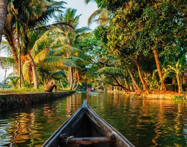 River Cruises And An Ambitious Heritage Project: How Kerala Is Drawing Visitors Back Post-Covid 9 Kerala backwaters