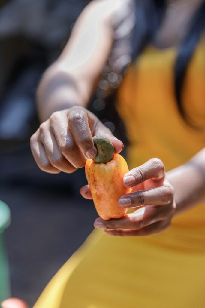 Separating cashew fruit from kernel