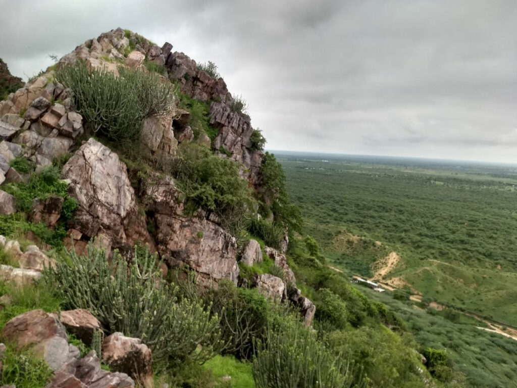 Aravalli hills