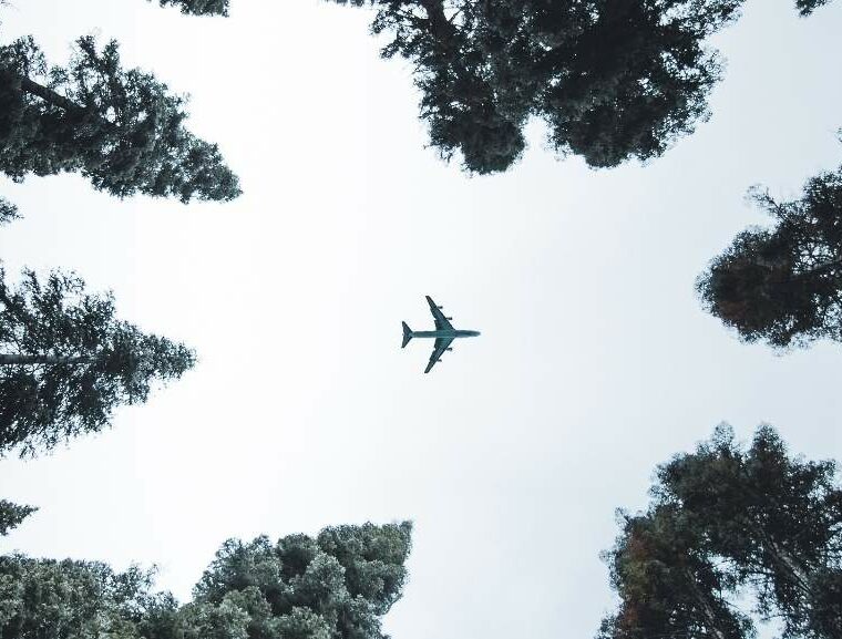 Green fuels, flights, airlines