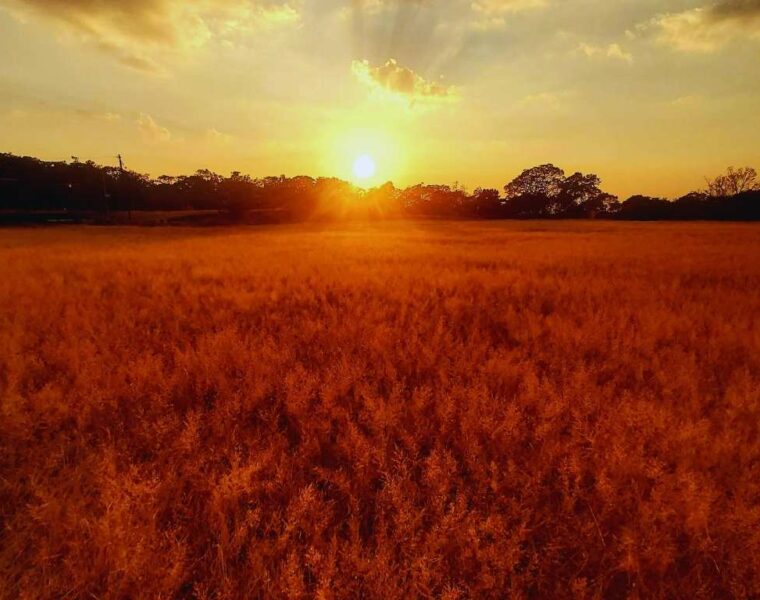 Matheran, eco friendly, horse rider, nature trails, maharashtra, olympia racecourse, sunset