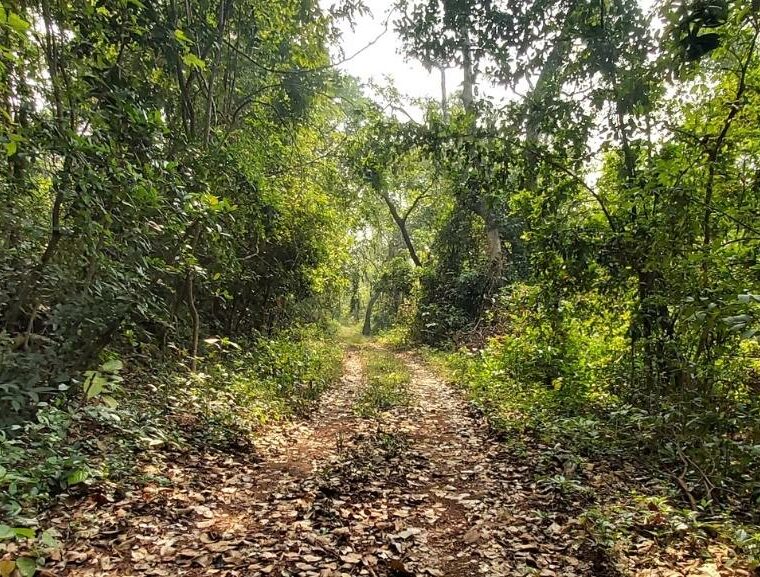 Phansad sanctuary, training, maharashtra