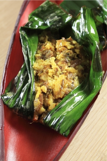 Leaf Therapy 5 Mochar paturi