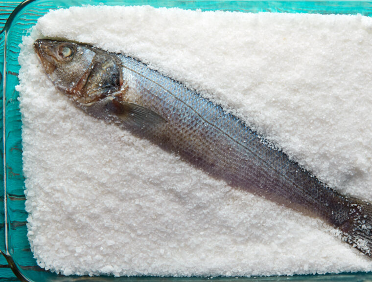 Fish featured 2