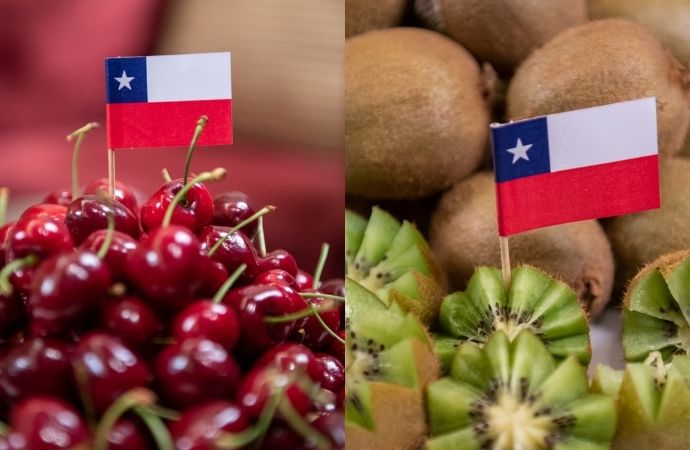 Experience The Best Of Organic Chilean Products With Prochile! 2 Prochile
