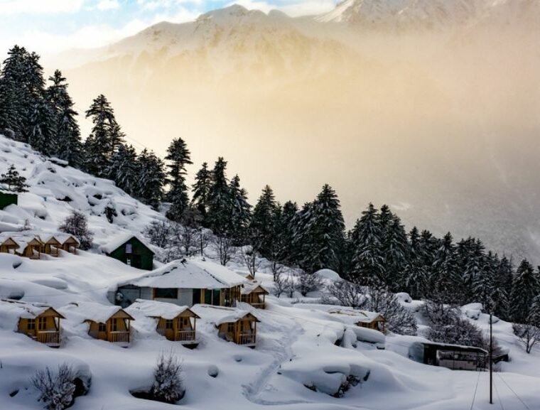 Auli