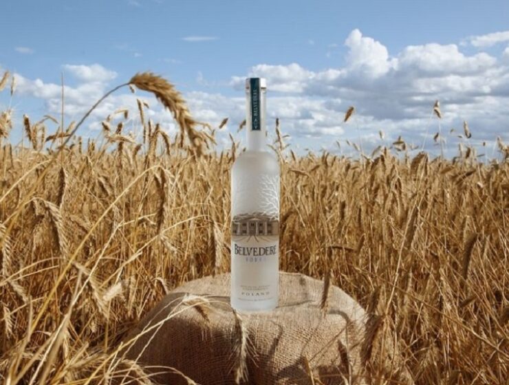4 of the easiest belvedere vodka cocktail recipes to whip up at home