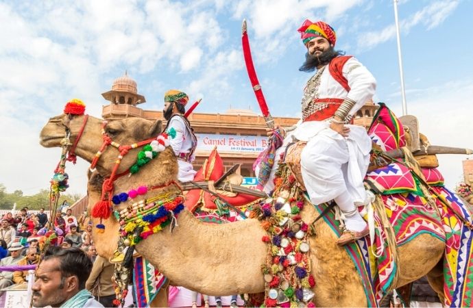 Camel festival | bikaner camel festival rajasthan