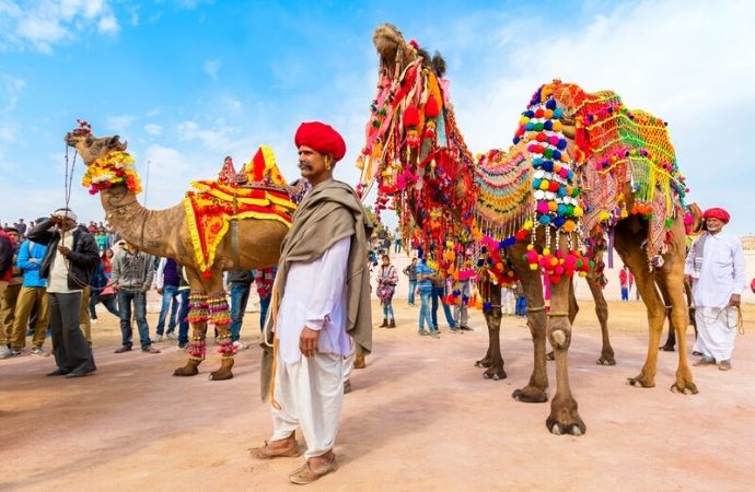 Camel festival | bikaner camel festival rajasthan