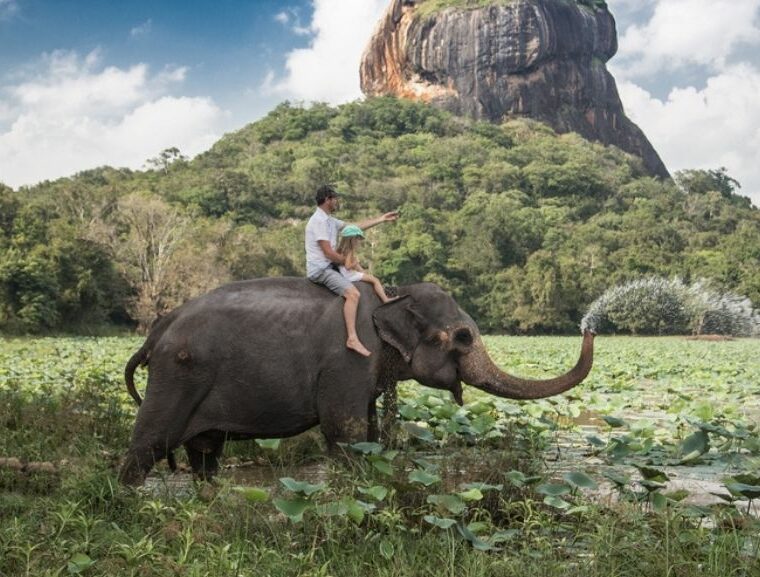 Sri lanka witnesses a tourism boom
