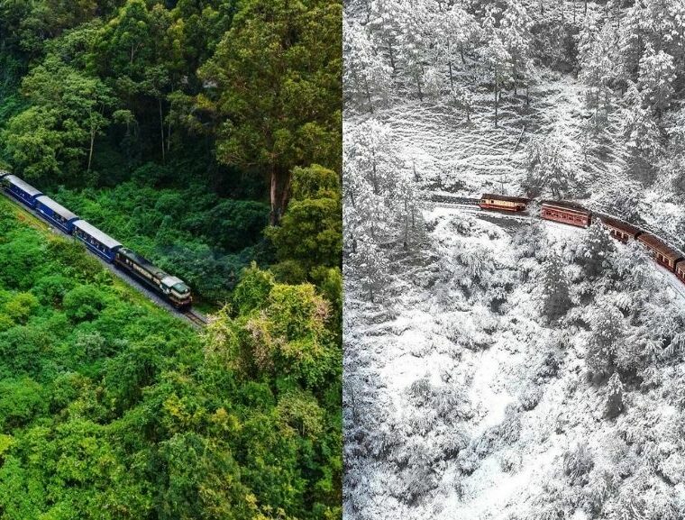 Toy train rides in india