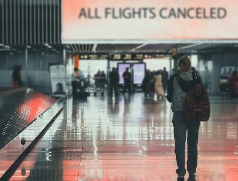 Who calls travel bans ineffective