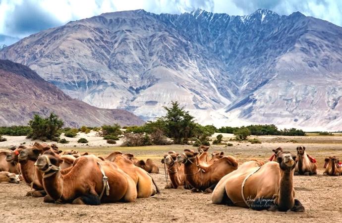 Ladakh, landscapes, people, photo feature