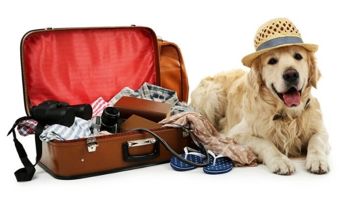 Booking, hotels, online, online booking, websites