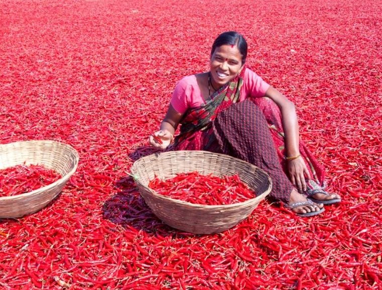 Colours, spring, india, travel