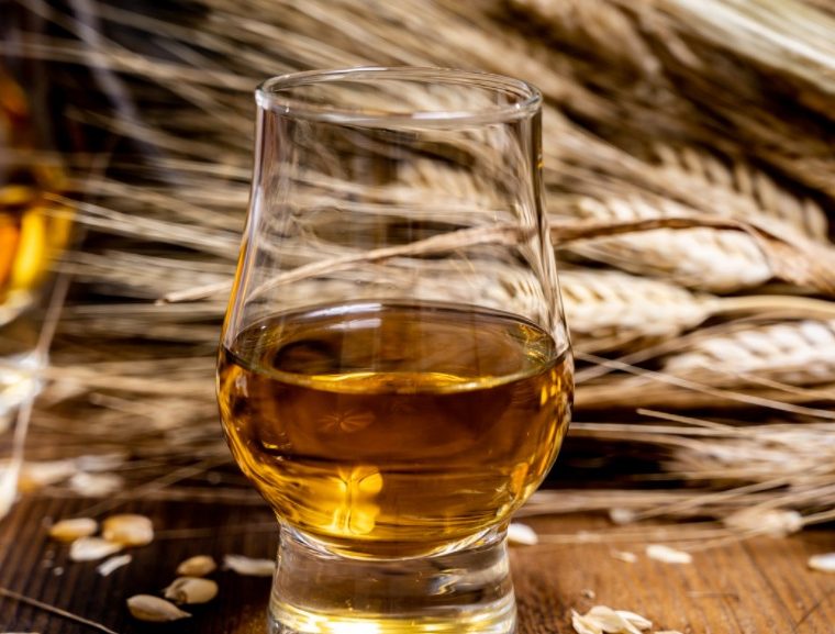 Barley is a popular grain for whisky