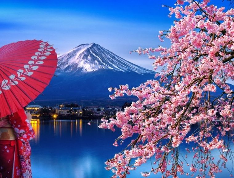 The best cherry blossom experiences