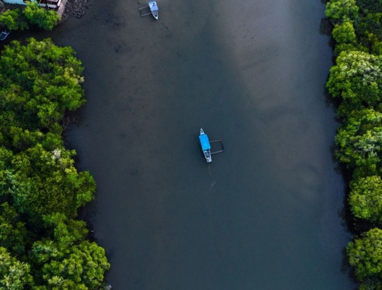 Unique experiences in goa