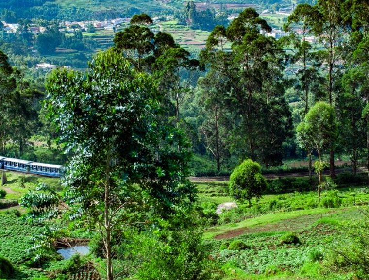 Ooty to coonoor