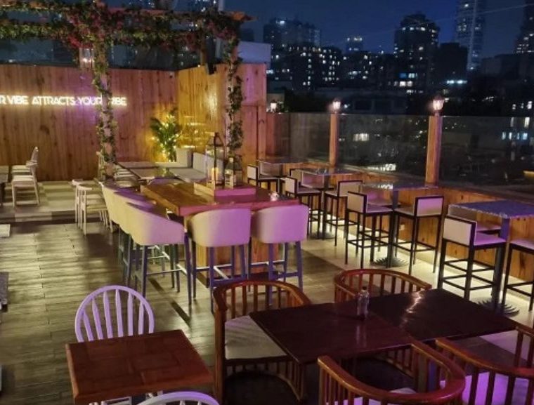 India's first vegan party destination, the green affair comes to mumbai