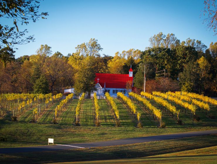 A trail of the founding fathers' of america
