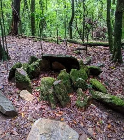 These ancient monoliths inside the forest used to be the site for various tribal rituals. Image: roxanne bamboat. | mawphlang, forest, eco tourism, meghalaya, world environment day