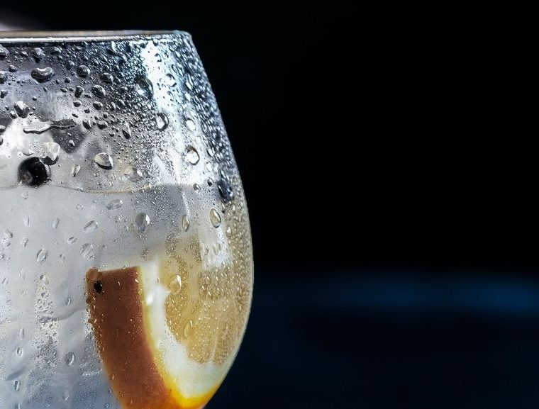 Satiwa is the latest entrant on the gin scene in goa