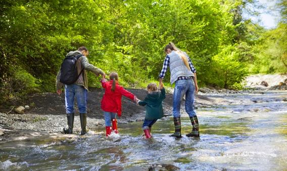 Travel, nature, monsoon trek