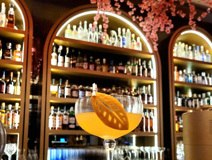 Asilo, asilo pune, review