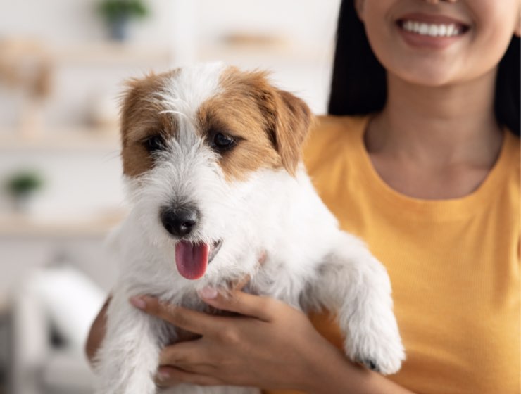 Dog