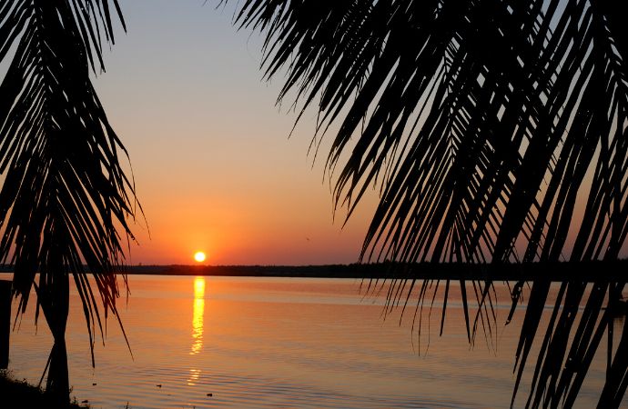 Konaseema: Cruising Down The Godavari In Coastal Andhra Pradesh 2 Godavari, andhra pradesh, backwaters, cruise travel