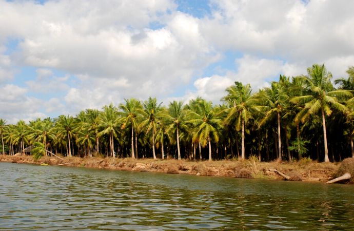 Konaseema: Cruising Down The Godavari In Coastal Andhra Pradesh 4 Godavari, andhra pradesh, backwaters, cruise travel