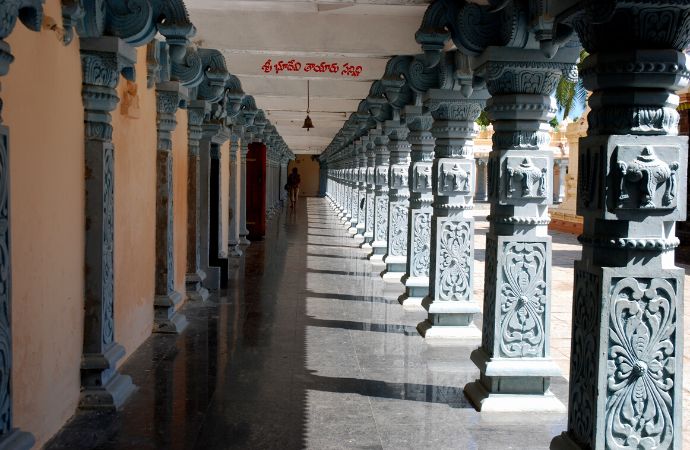 Konaseema: Cruising Down The Godavari In Coastal Andhra Pradesh 9 Godavari, andhra pradesh, backwaters, cruise travel