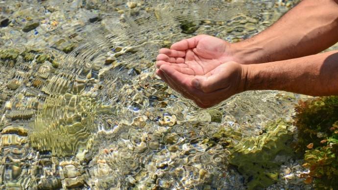 These 7 Survival Skills Will Keep You Alive In The Wilderness! 7 Surviving in the woods