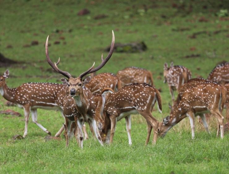 Eco-tourism destinations in odisha