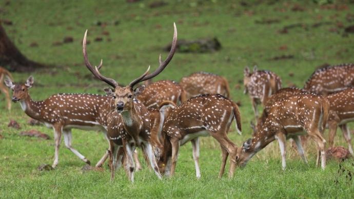 13 Upcoming Eco-Tourism Destinations In Odisha For Your Bucket List! 1 Eco-tourism in odisha