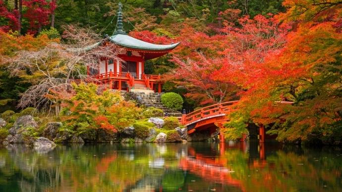 Forget Sakura Season! Here'S Why You Must Visit Kyoto During Fall 5 Daigo-ji temple in kyoto