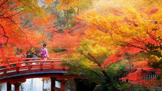 Forget Sakura Season! Here'S Why You Must Visit Kyoto During Fall 2 Autumn in kyoto
