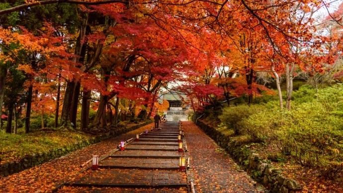 Forget Sakura Season! Here'S Why You Must Visit Kyoto During Fall 3 Fall foliage in kyoto