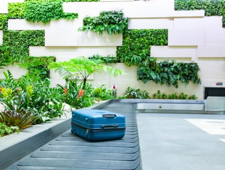 Carbon-neutral airports in india