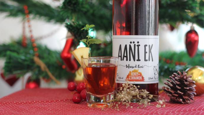 Aani ek