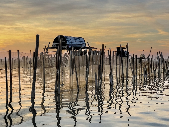 Tam giang lagoon hue