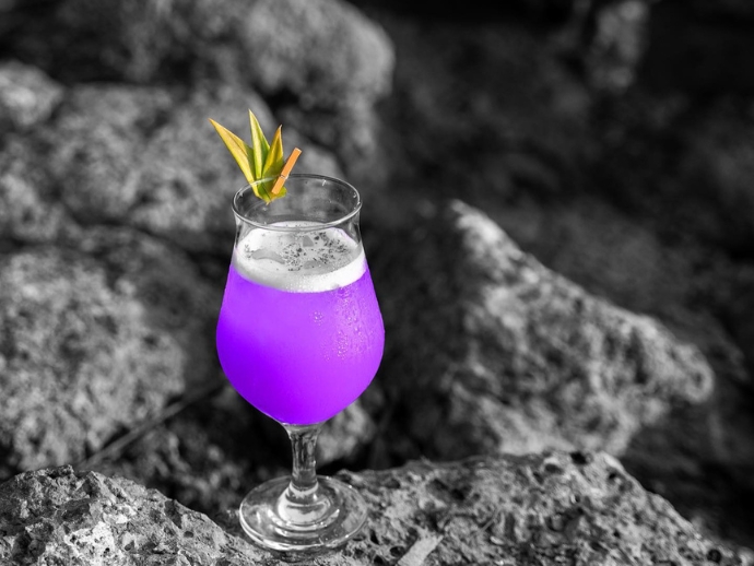 44 Goa Bars For The Best New Year Eve Celebrations Ever! 9 Jamming goat goa december nye