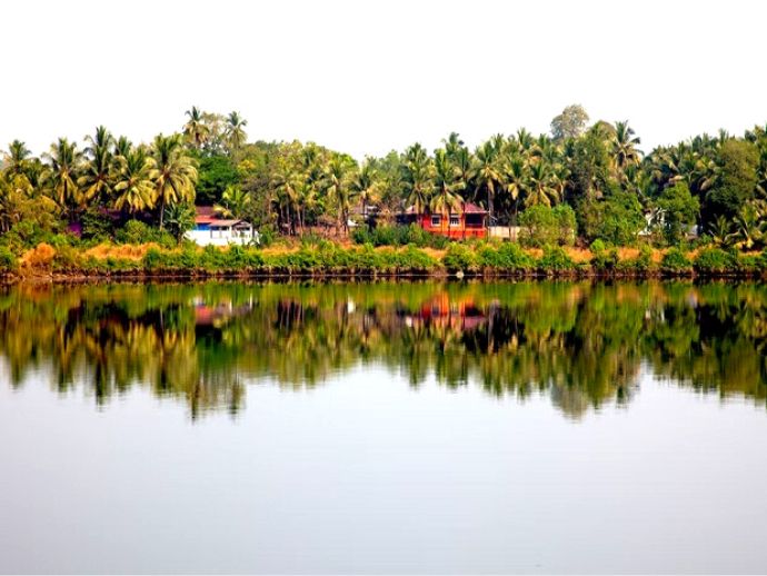 Morjim, goa