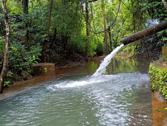 Enjoy A Different Goa At This Eco-Farm 3 Nv eco-farm