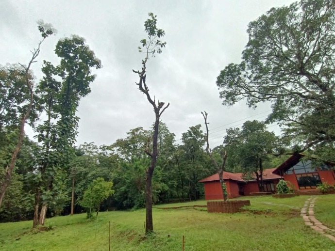 Enjoy A Different Goa At This Eco-Farm 5 Nv eco-farm