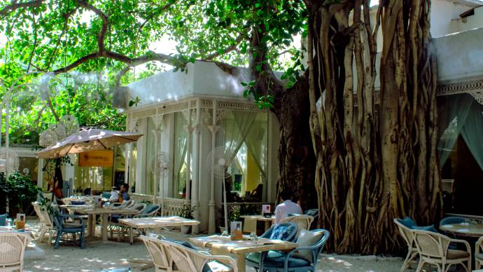 Celebrating Delhi Winters A La Francais At Olive Bar &Amp; Kitchen, Mehrauli 2 Olive bar kitchen new delhi