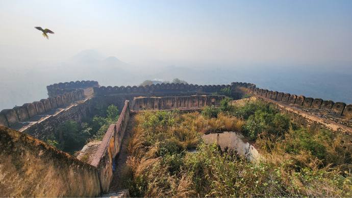 Sariska: Of Wild Encounters And A Vanishing Heritage 7 Kankwari fort