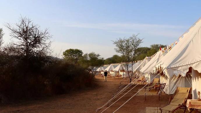 Sariska: Of Wild Encounters And A Vanishing Heritage 13 Camp kooncha sariska