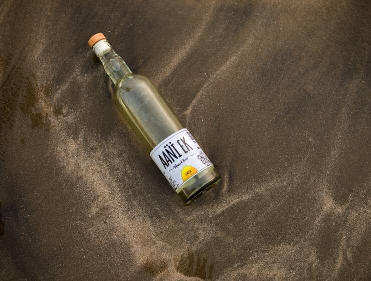 Aani ek in goa.